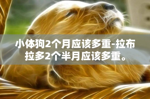 小體狗2個月應該多重-拉布拉多2個半月應該多重。