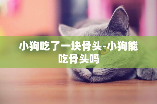 小狗吃了一塊骨頭-小狗能吃骨頭嗎