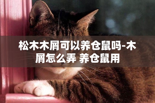 松木木屑可以養倉鼠嗎-木屑怎么弄 養倉鼠用