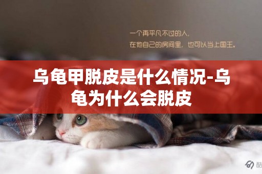 烏龜甲脫皮是什么情況-烏龜為什么會脫皮