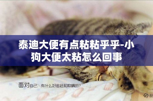 泰迪大便有點粘粘乎乎-小狗大便太粘怎么回事