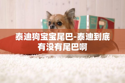 泰迪狗寶寶尾巴-泰迪到底有沒有尾巴啊