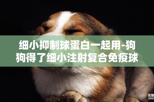 細小抑制球蛋白一起用-狗狗得了細小注射復合免疫球蛋白是不是就不用再注射血清和單抗了