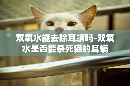 雙氧水能去除耳螨嗎-雙氧水是否能殺死貓的耳螨