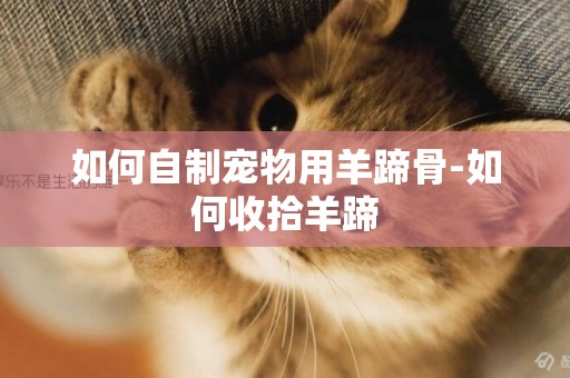 如何自制寵物用羊蹄骨-如何收拾羊蹄