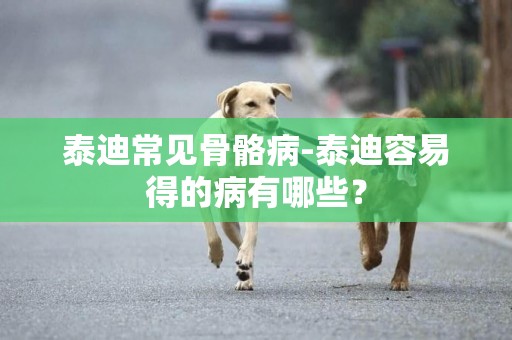 泰迪常見骨骼病-泰迪容易得的病有哪些？