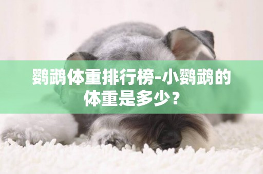 鸚鵡體重排行榜-小鸚鵡的體重是多少？