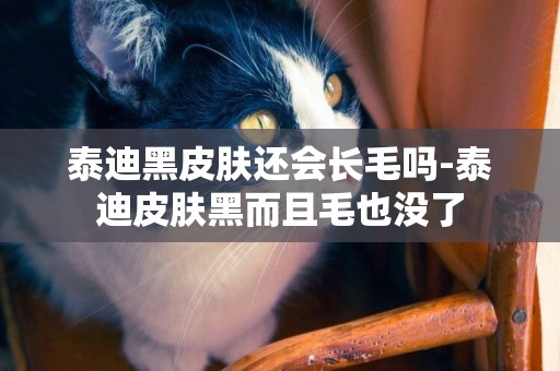 泰迪黑皮膚還會長毛嗎-泰迪皮膚黑而且毛也沒了