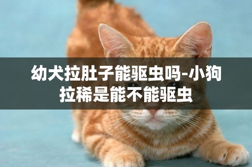 幼犬拉肚子能驅蟲嗎-小狗拉稀是能不能驅蟲