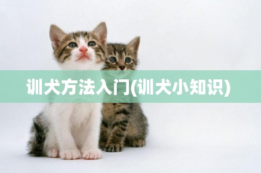 訓犬方法入門(訓犬小知識) 