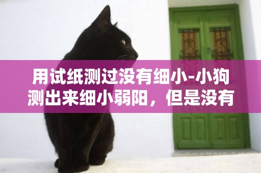用試紙測過沒有細小-小狗測出來細小弱陽，但是沒有細小癥狀
