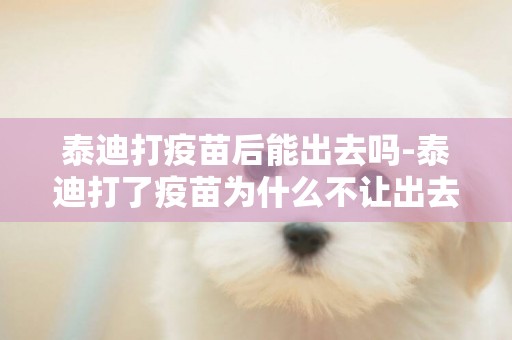 泰迪打疫苗后能出去嗎-泰迪打了疫苗為什么不讓出去