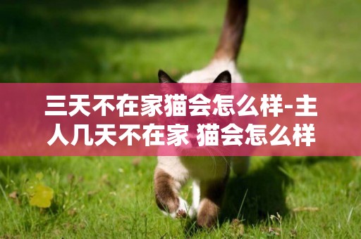 三天不在家貓會怎么樣-主人幾天不在家 貓會怎么樣啊