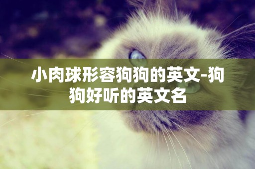 小肉球形容狗狗的英文-狗狗好聽的英文名