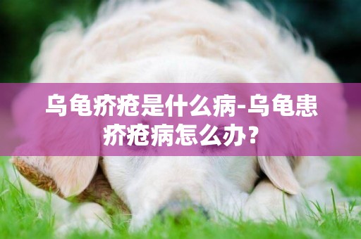 烏龜疥瘡是什么病-烏龜患疥瘡病怎么辦？