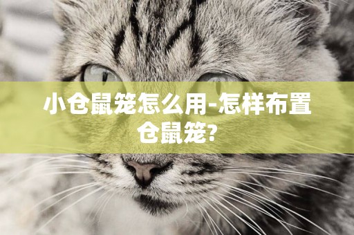 小倉鼠籠怎么用-怎樣布置倉鼠籠?