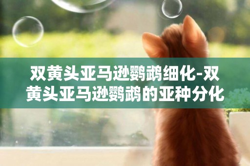 雙黃頭亞馬遜鸚鵡細化-雙黃頭亞馬遜鸚鵡的亞種分化