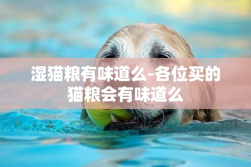 濕貓糧有味道么-各位買的貓糧會有味道么
