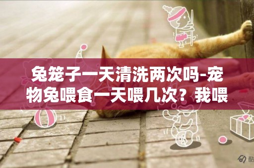 兔籠子一天清洗兩次嗎-寵物兔喂食一天喂幾次？我喂的是野草和蔬菜，還有幾天清理一次籠子？喂養要注意什么
