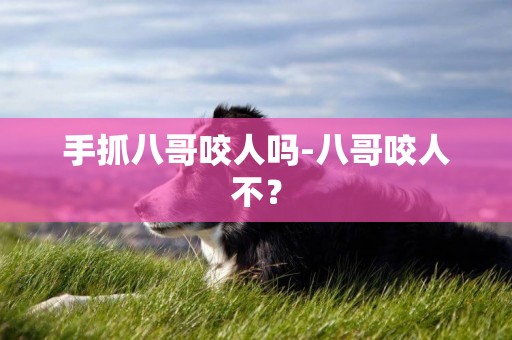 手抓八哥咬人嗎-八哥咬人不？