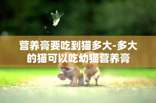 營養膏要吃到貓多大-多大的貓可以吃幼貓營養膏