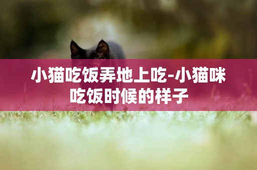 小貓吃飯弄地上吃-小貓咪吃飯時候的樣子