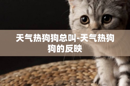 天氣熱狗狗總叫-天氣熱狗狗的反映