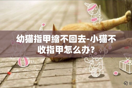 幼貓指甲縮不回去-小貓不收指甲怎么辦？