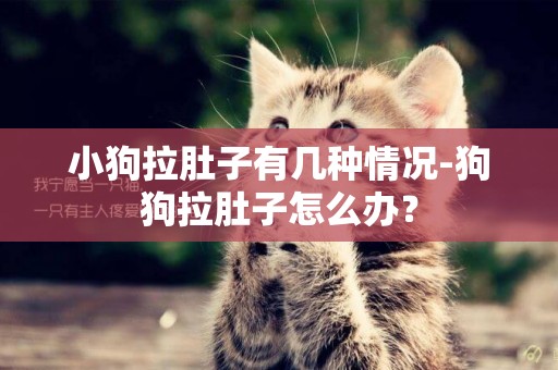 小狗拉肚子有幾種情況-狗狗拉肚子怎么辦？
