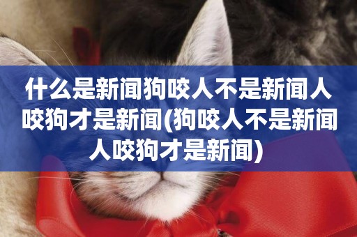 什么是新聞狗咬人不是新聞人咬狗才是新聞(狗咬人不是新聞人咬狗才是新聞) 