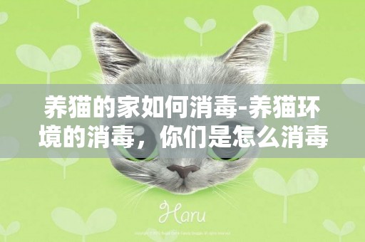 養貓的家如何消毒-養貓環境的消毒，你們是怎么消毒的
