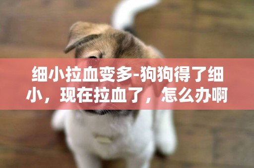 細小拉血變多-狗狗得了細小，現在拉血了，怎么辦啊