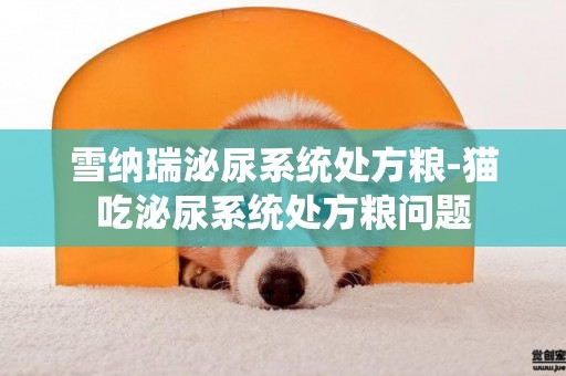 雪納瑞泌尿系統處方糧-貓吃泌尿系統處方糧問題