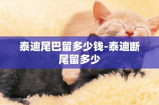 泰迪尾巴留多少錢-泰迪斷尾留多少
