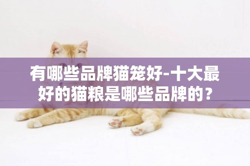 有哪些品牌貓籠好-十大最好的貓糧是哪些品牌的？
