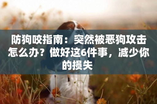 防狗咬指南：突然被惡狗攻擊怎么辦？做好這6件事，減少你的損失 