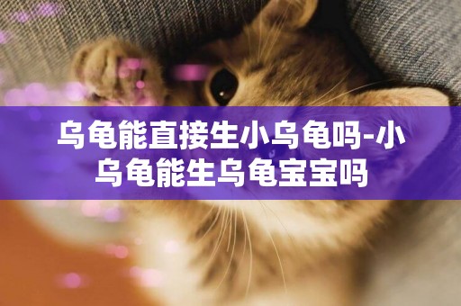 烏龜能直接生小烏龜嗎-小烏龜能生烏龜寶寶嗎