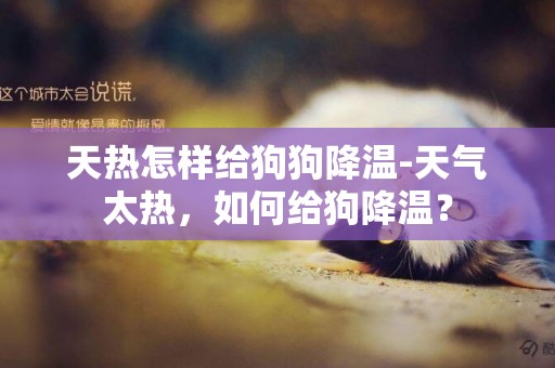 天熱怎樣給狗狗降溫-天氣太熱，如何給狗降溫？