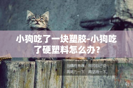 小狗吃了一塊塑膠-小狗吃了硬塑料怎么辦？