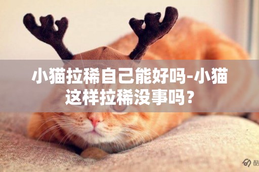 小貓拉稀自己能好嗎-小貓這樣拉稀沒事嗎？