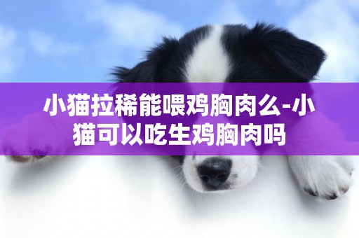 小貓拉稀能喂雞胸肉么-小貓可以吃生雞胸肉嗎