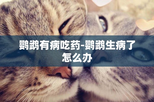 鸚鵡有病吃藥-鸚鵡生病了怎么辦