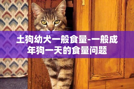 土狗幼犬一般食量-一般成年狗一天的食量問題