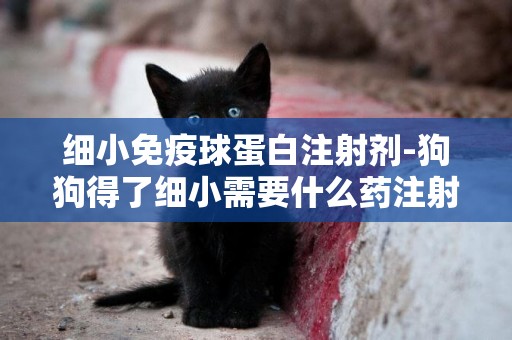 細小免疫球蛋白注射劑-狗狗得了細小需要什么藥注射