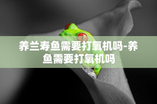 養蘭壽魚需要打氧機嗎-養魚需要打氧機嗎