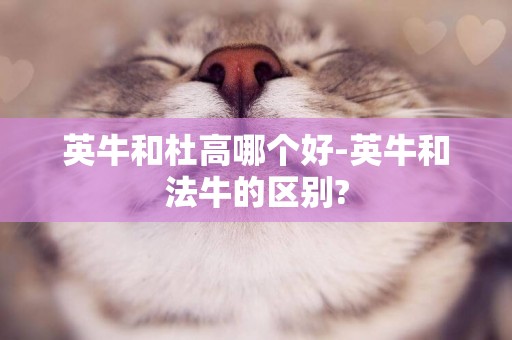 英牛和杜高哪個好-英牛和法牛的區別?