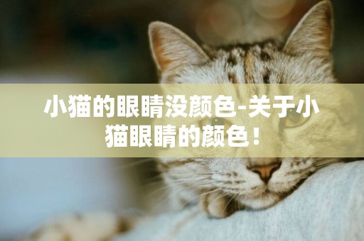 小貓的眼睛沒顏色-關于小貓眼睛的顏色！