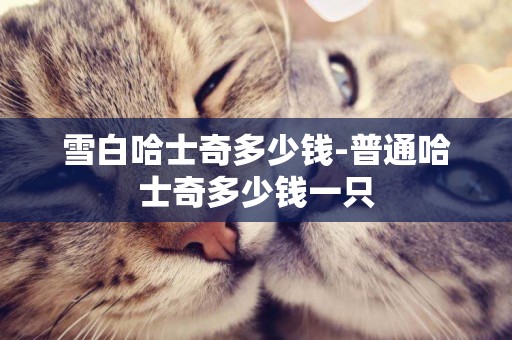 雪白哈士奇多少錢-普通哈士奇多少錢一只