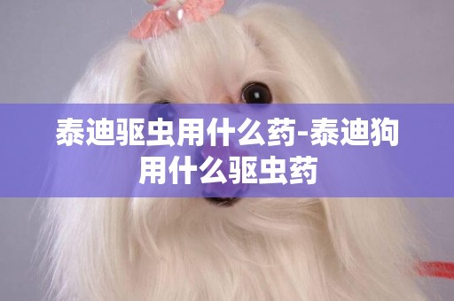 泰迪驅蟲用什么藥-泰迪狗用什么驅蟲藥