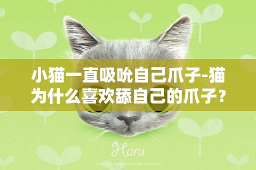 小貓一直吸吮自己爪子-貓為什么喜歡舔自己的爪子？